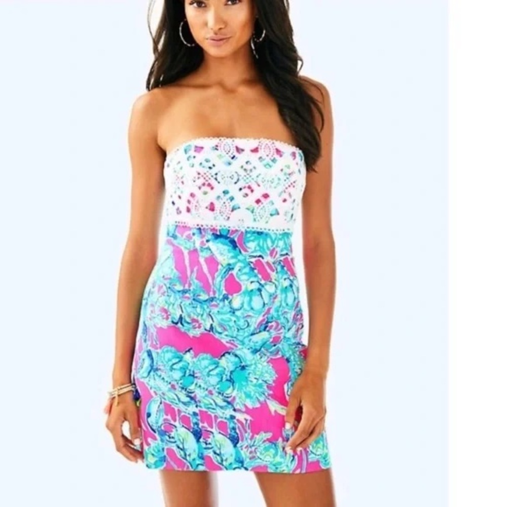 ADORABLE Lilly Pulitzer Brynn dress - Picture 2 of 15
